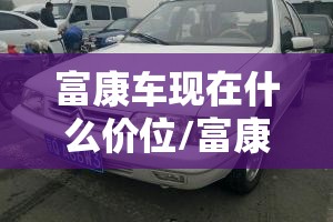 富康车现在什么价位/富康轿车多少钱 富康车现在什么价位/富康轿车多少钱