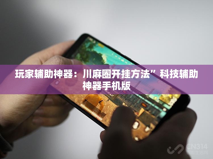 玩家辅助神器：川麻圈开挂方法”科技辅助神器手机版