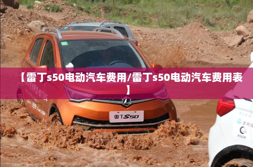【雷丁s50电动汽车费用/雷丁s50电动汽车费用表】