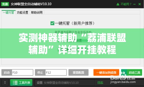 实测神器辅助“荔浦联盟辅助”详细开挂教程