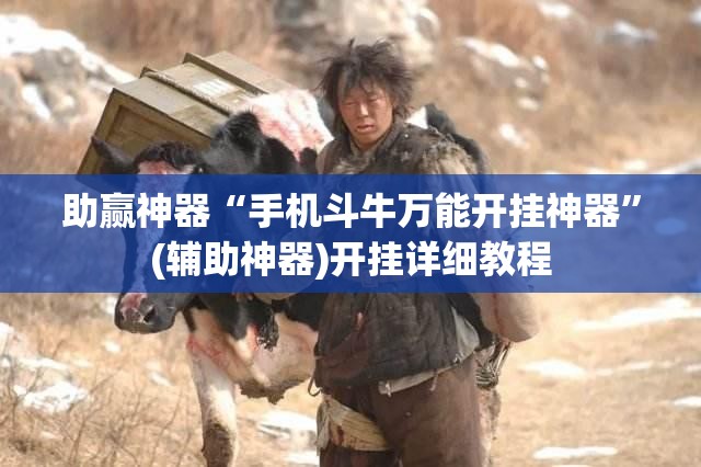 助赢神器“手机斗牛万能开挂神器”(辅助神器)开挂详细教程
