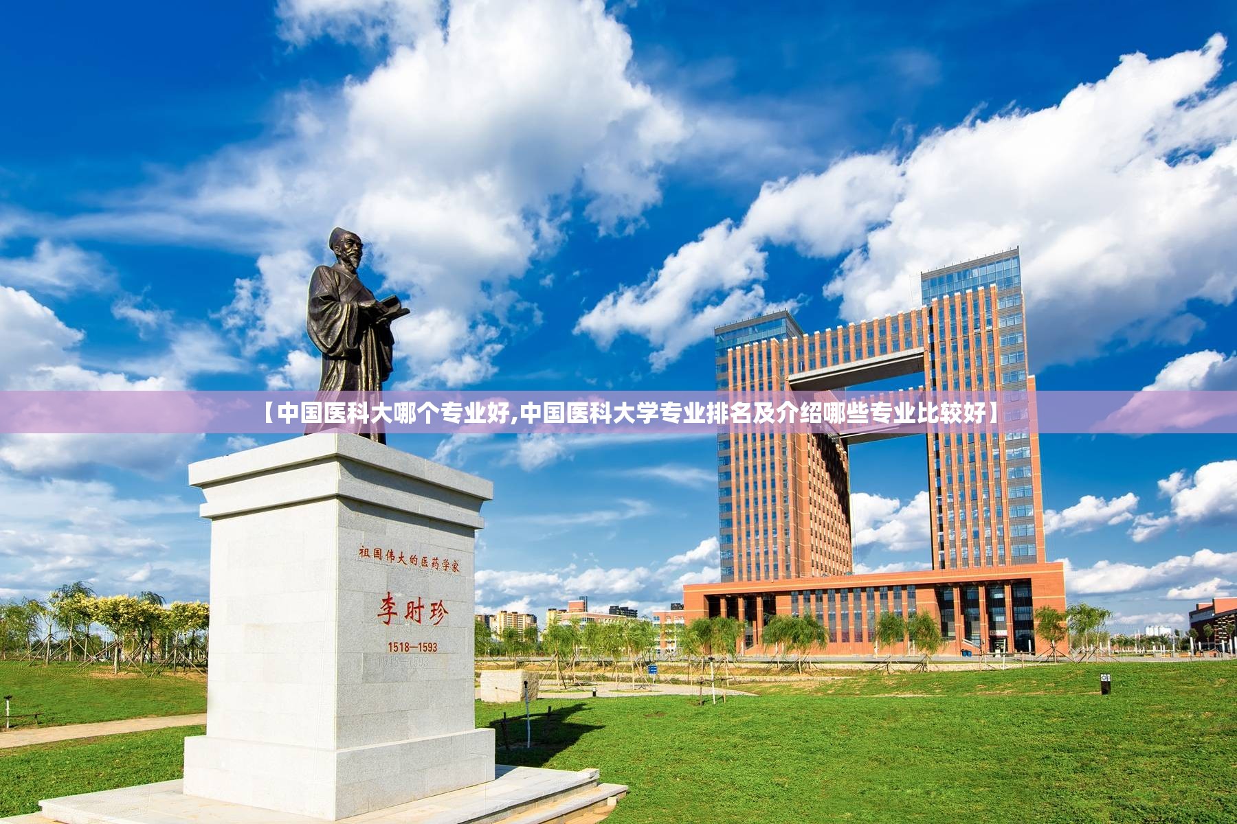 【中国医科大哪个专业好,中国医科大学专业排名及介绍哪些专业比较好】