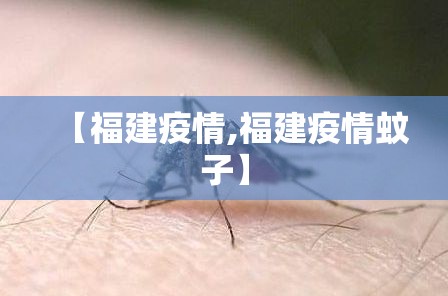【福建疫情,福建疫情蚊子】