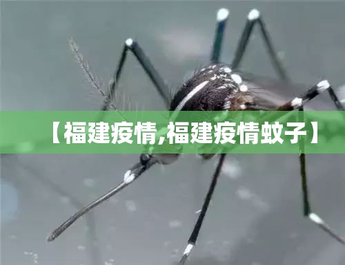 【福建疫情,福建疫情蚊子】
