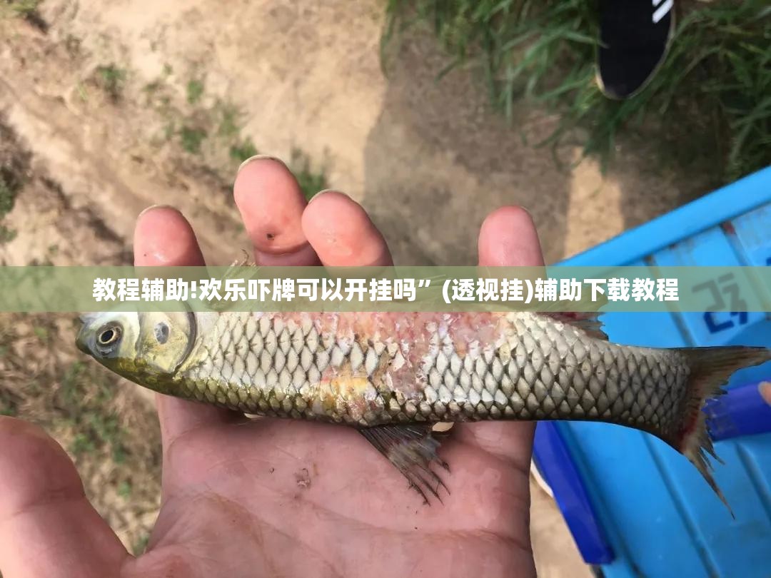 教程辅助!欢乐吓牌可以开挂吗	”(透视挂)辅助下载教程