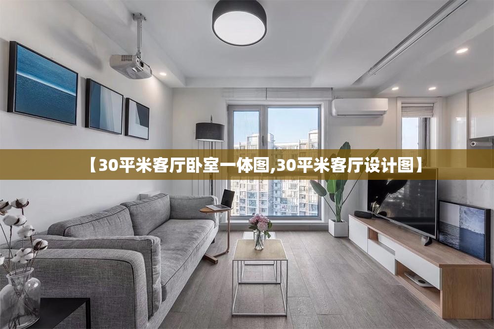 【30平米客厅卧室一体图,30平米客厅设计图】