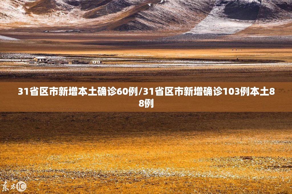 31省区市新增本土确诊60例/31省区市新增确诊103例本土88例