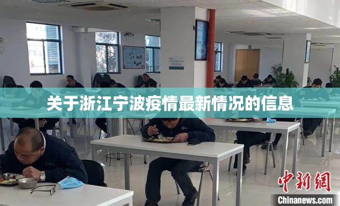 关于浙江宁波疫情最新情况的信息