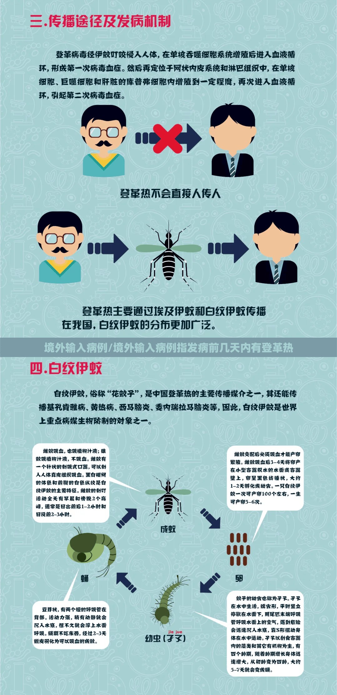 境外输入病例/境外输入病例指发病前几天内有登革热 境外输入病例/境外输入病例指发病前几天内有登革热