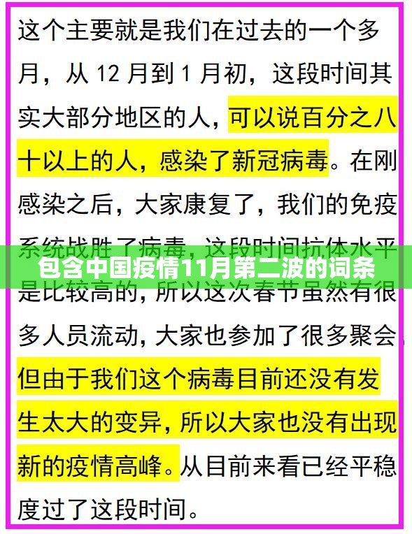 包含中国疫情11月第二波的词条