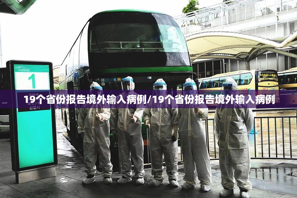 19个省份报告境外输入病例/19个省份报告境外输入病例