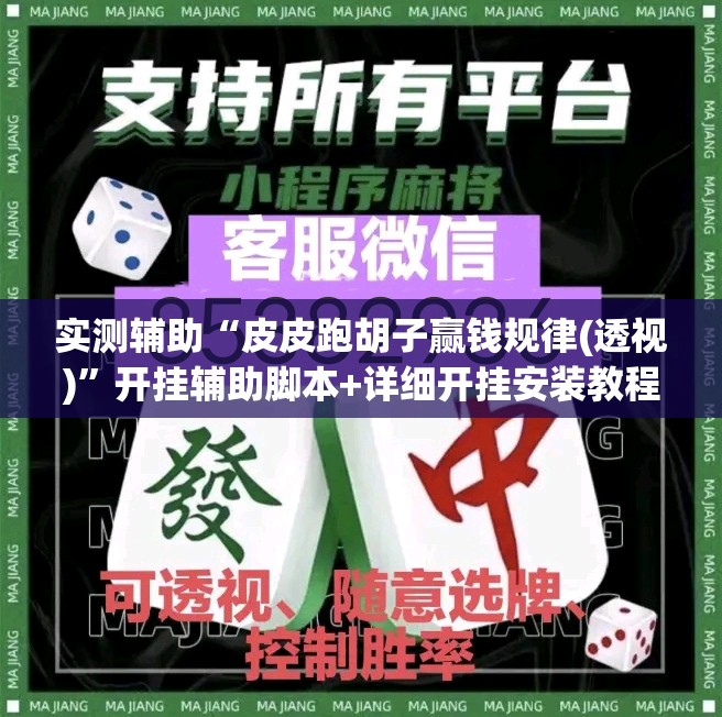 实测辅助“皮皮跑胡子赢钱规律(透视)”开挂辅助脚本+详细开挂安装教程