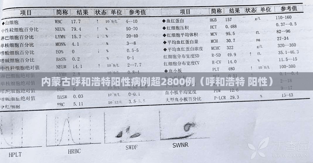 内蒙古呼和浩特阳性病例超2800例(呼和浩特 阳性) 内蒙古呼和浩特阳性病例超2800例(呼和浩特 阳性)