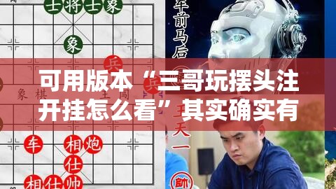 可用版本“三哥玩摆头注开挂怎么看	”其实确实有挂
