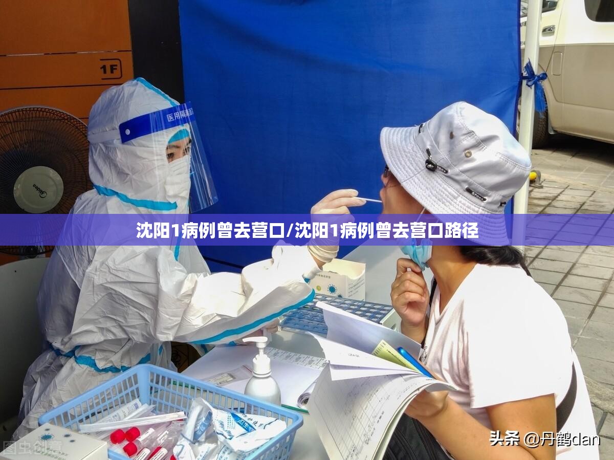 沈阳1病例曾去营口/沈阳1病例曾去营口路径