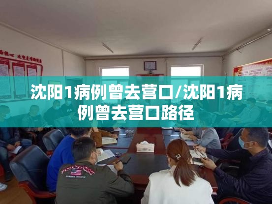 沈阳1病例曾去营口/沈阳1病例曾去营口路径
