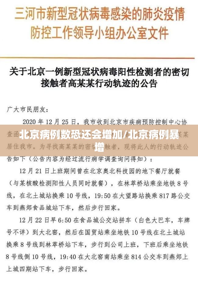 北京病例数恐还会增加/北京病例暴增