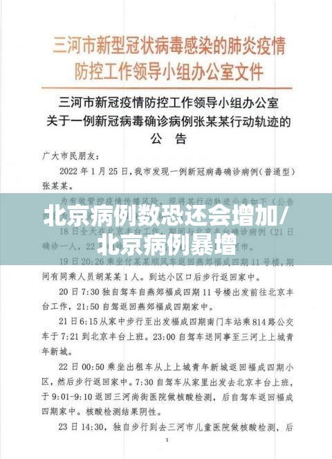北京病例数恐还会增加/北京病例暴增