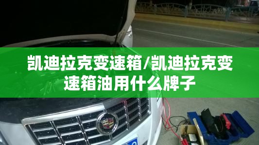 凯迪拉克变速箱/凯迪拉克变速箱油用什么牌子