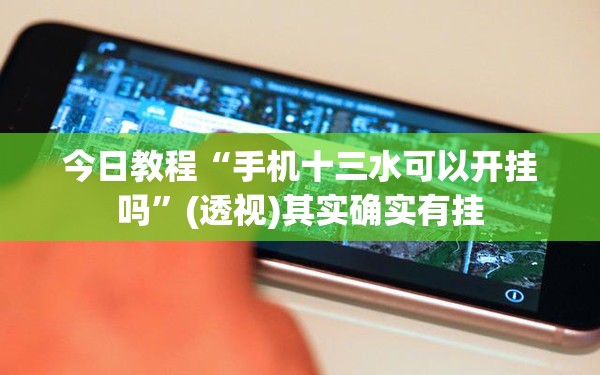 今日教程“手机十三水可以开挂吗”(透视)其实确实有挂