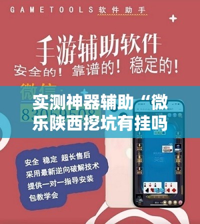 实测神器辅助“微乐陕西挖坑有挂吗”详细分享装挂步骤