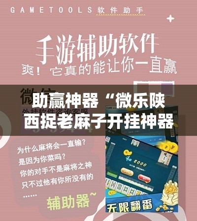 助赢神器“微乐陕西捉老麻子开挂神器”开挂详细教程