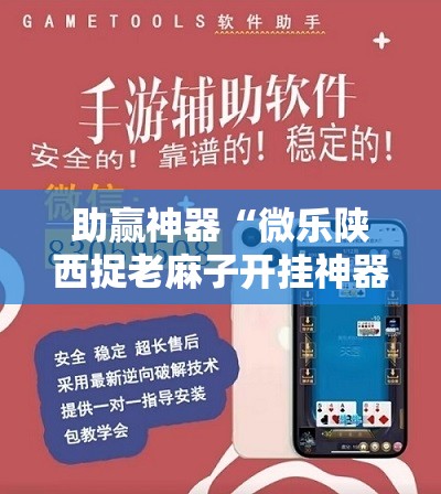 助赢神器“微乐陕西捉老麻子开挂神器”开挂详细教程