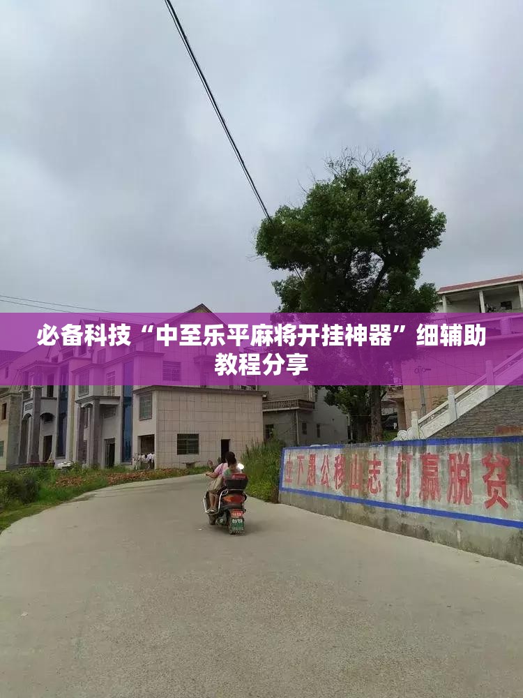 必备科技“中至乐平麻将开挂神器	”细辅助教程分享