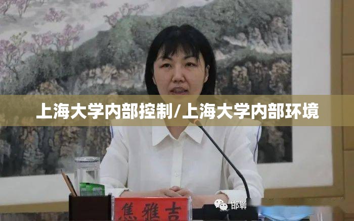 上海大学内部控制/上海大学内部环境