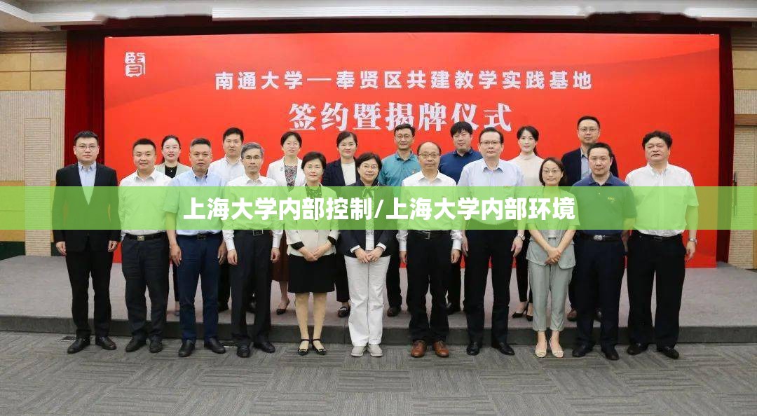 上海大学内部控制/上海大学内部环境