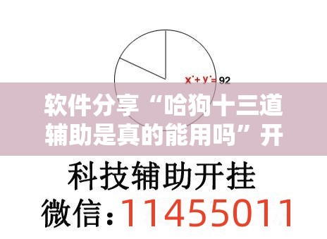 软件分享“哈狗十三道辅助是真的能用吗”开挂辅助脚本+详细开挂安装教程