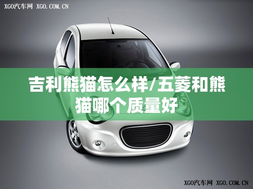 吉利熊猫怎么样/五菱和熊猫哪个质量好