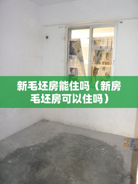 新毛坯房能住吗（新房毛坯房可以住吗）