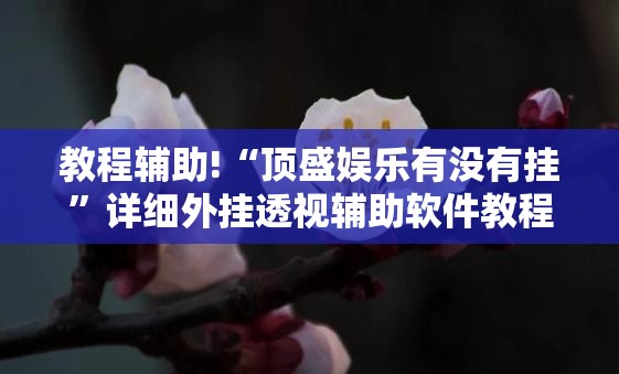 教程辅助!“顶盛娱乐有没有挂”详细外挂透视辅助软件教程