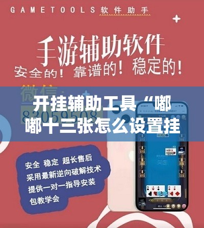 开挂辅助工具“嘟嘟十三张怎么设置挂”开挂(透视)辅助神器