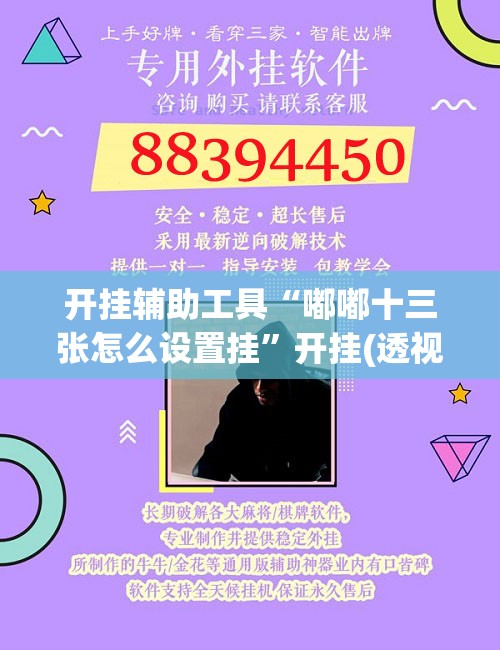 开挂辅助工具“嘟嘟十三张怎么设置挂	”开挂(透视)辅助神器