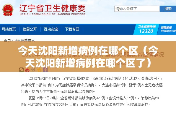 今天沈阳新增病例在哪个区（今天沈阳新增病例在哪个区了）