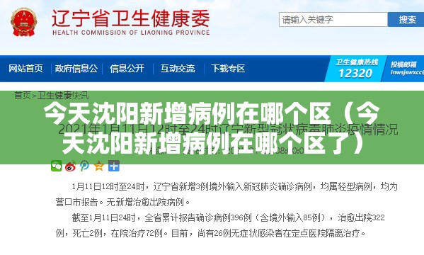 今天沈阳新增病例在哪个区（今天沈阳新增病例在哪个区了）