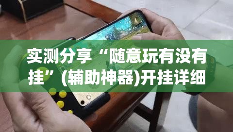 实测分享“随意玩有没有挂”(辅助神器)开挂详细教程