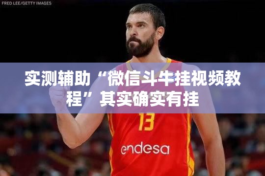 实测辅助“微信斗牛挂视频教程”其实确实有挂