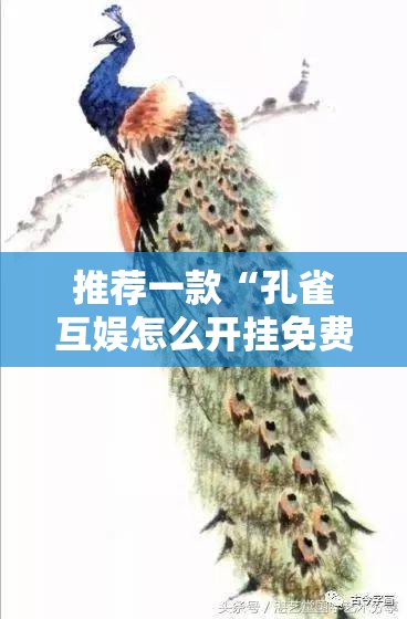 推荐一款“孔雀互娱怎么开挂免费”详细开挂教程