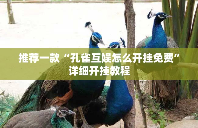 推荐一款“孔雀互娱怎么开挂免费”详细开挂教程