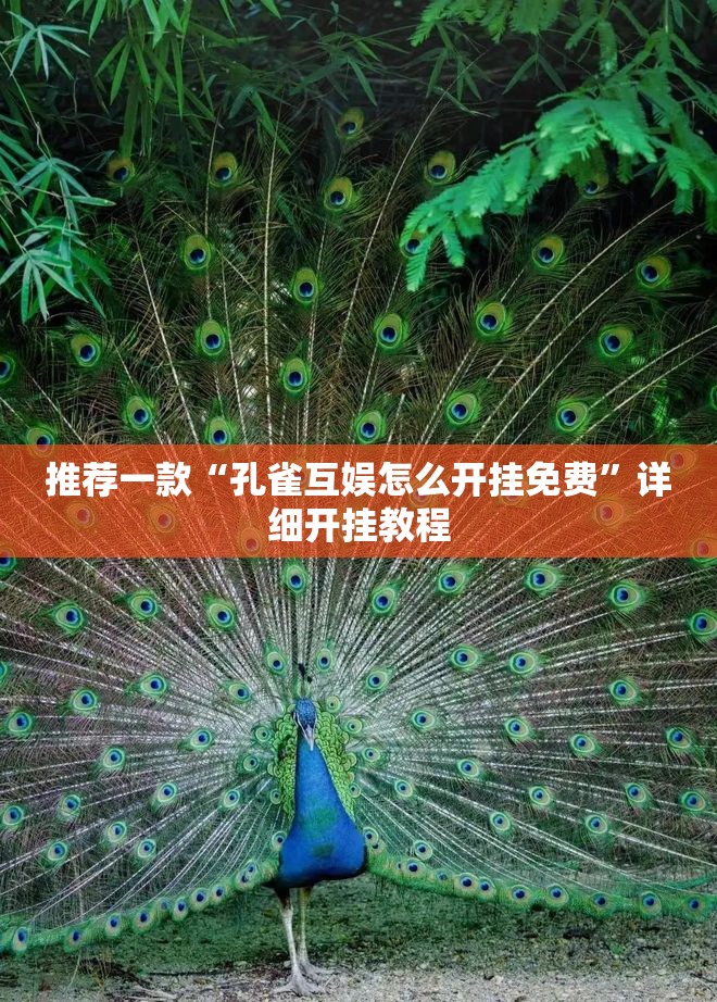 推荐一款“孔雀互娱怎么开挂免费	”详细开挂教程