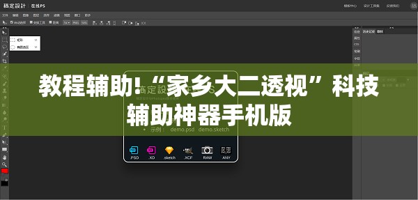 教程辅助!“家乡大二透视	”科技辅助神器手机版