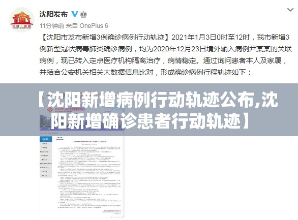 【沈阳新增病例行动轨迹公布,沈阳新增确诊患者行动轨迹】