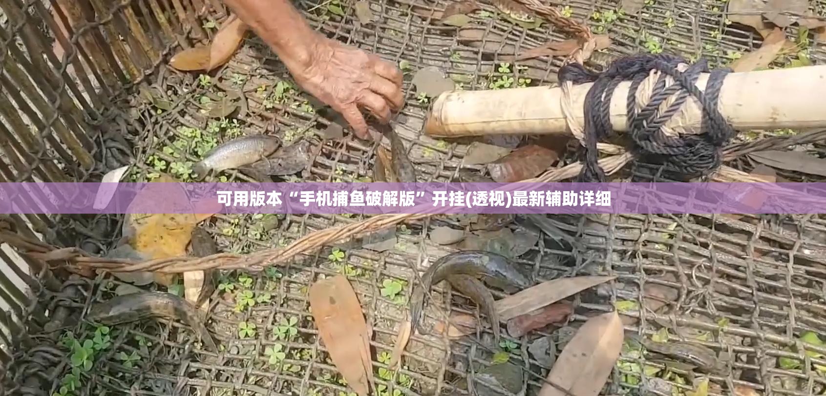 可用版本“手机捕鱼破解版”开挂(透视)最新辅助详细