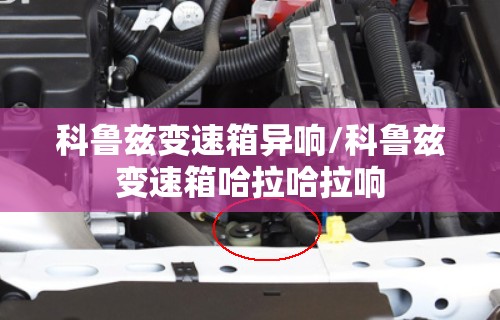 科鲁兹变速箱异响/科鲁兹变速箱哈拉哈拉响