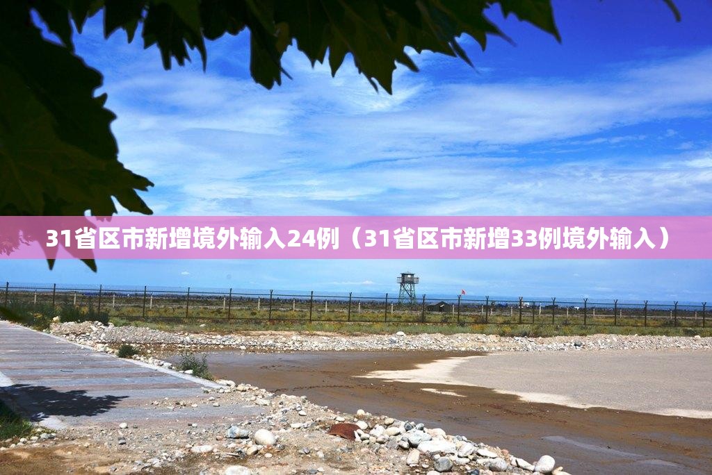 31省区市新增境外输入24例（31省区市新增33例境外输入）