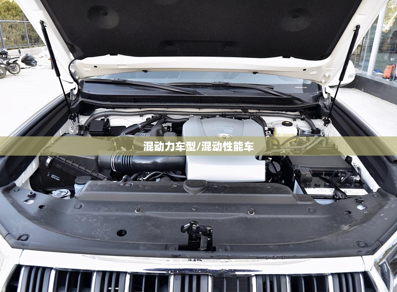 混动力车型/混动性能车
