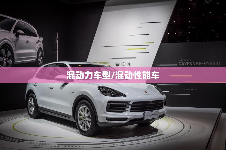 混动力车型/混动性能车